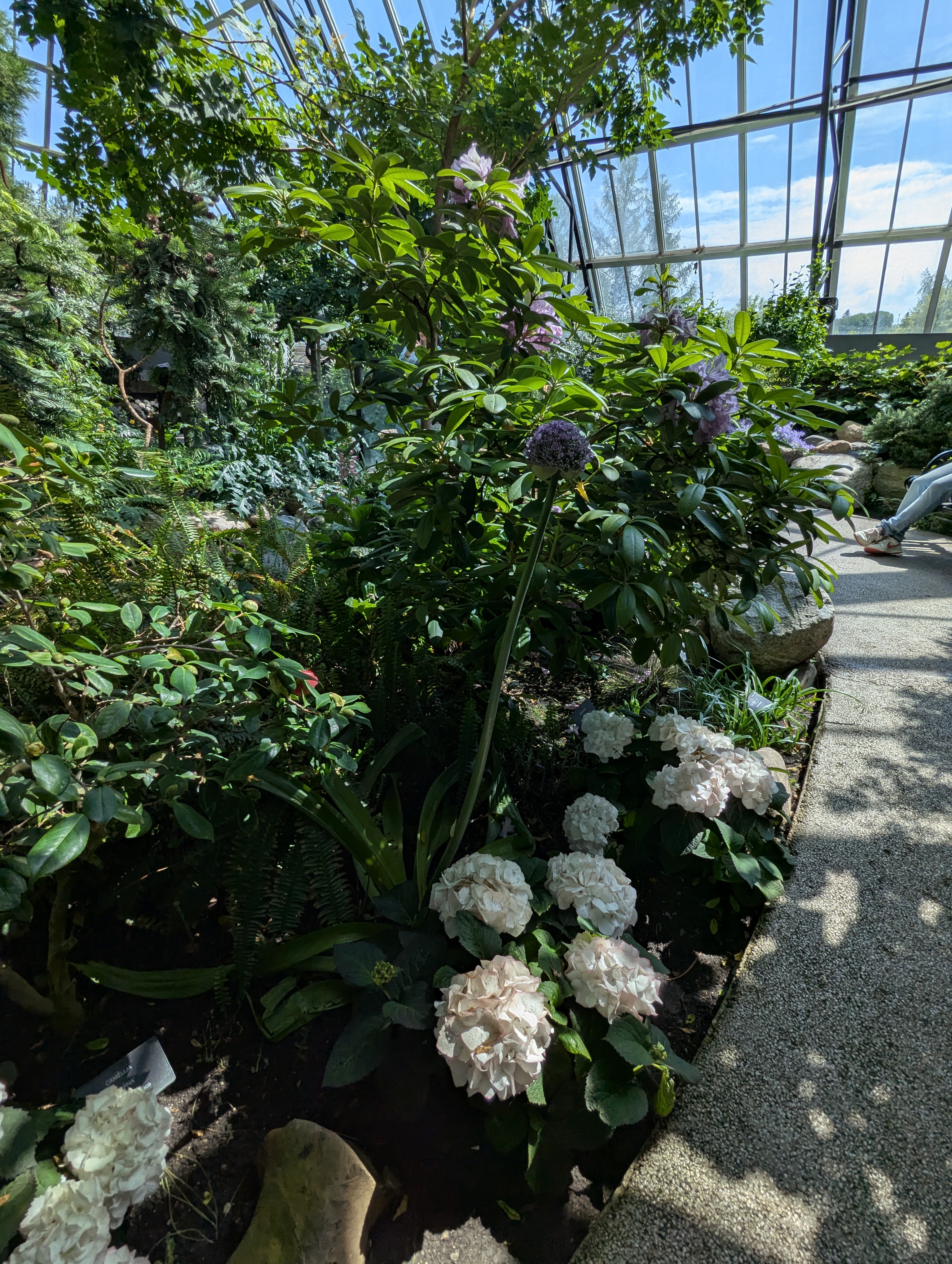 Birthday Trip to Canada, Edmonton, Pyramids, Muttart Observatory